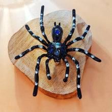 Load image into Gallery viewer, Dangerous Large Black Enamel Tarantula Spider Brooch with Blue Accent Halloween Jewelry
