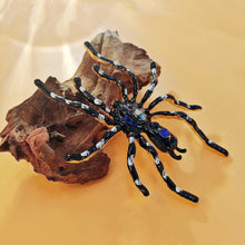 Load image into Gallery viewer, Dangerous Large Black Enamel Tarantula Spider Brooch with Blue Accent Halloween Jewelry
